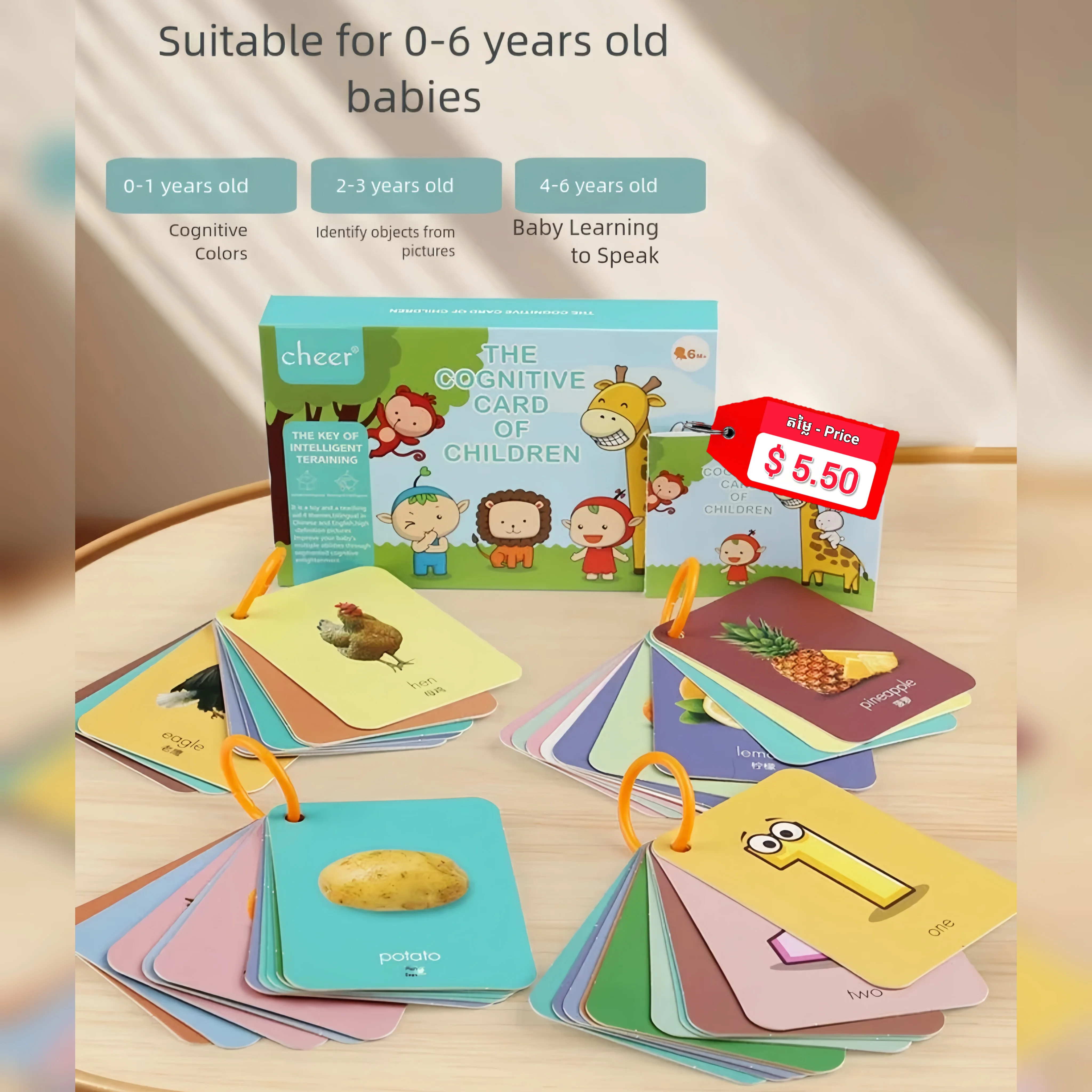 Flash Cards 4 in 1