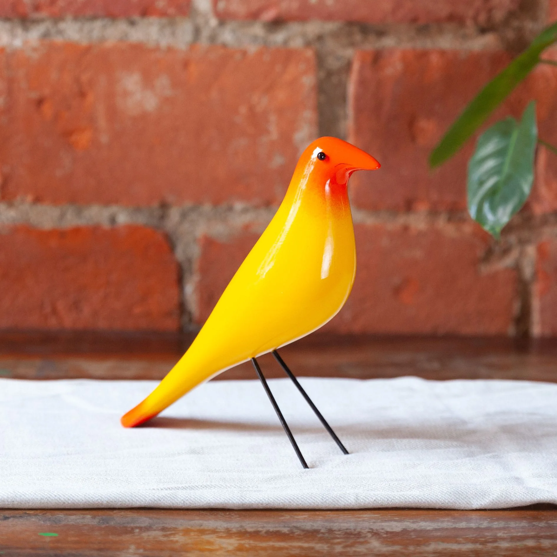 JA Little bird