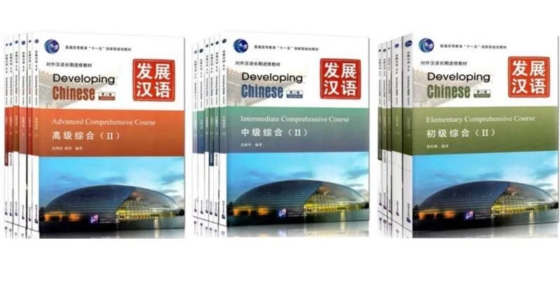 Developing Chinese-发展汉语
