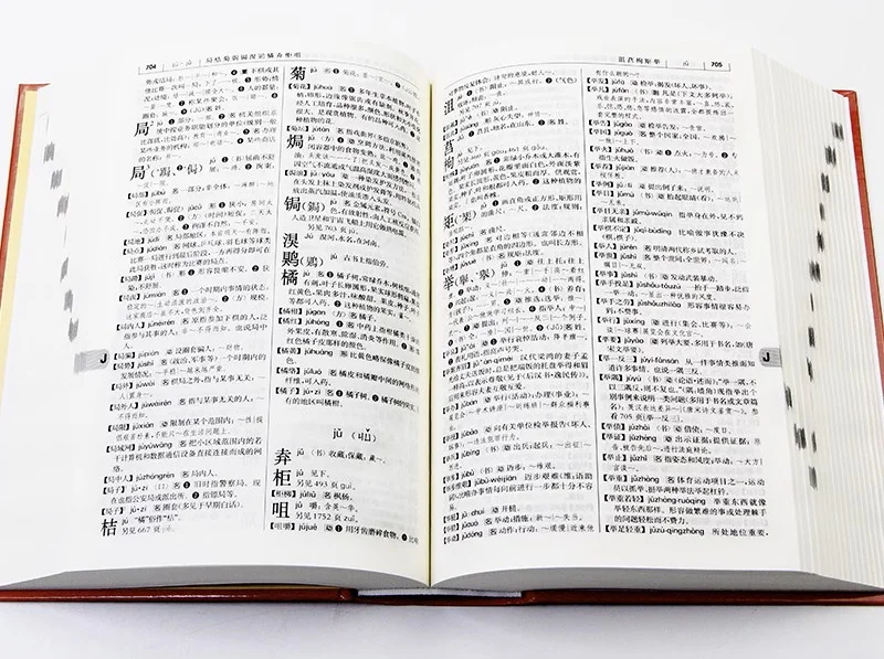 Dictionary