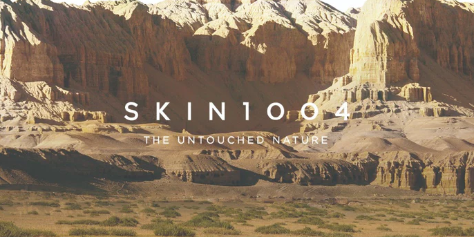 SKIN1004